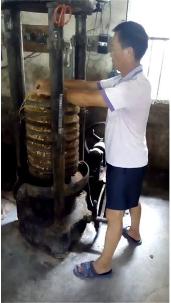 福建老款榨油機(jī)現(xiàn)場(chǎng)